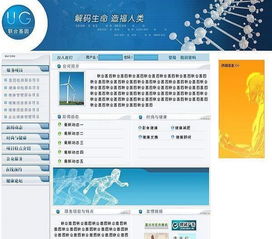 嘉兴网站建设 六载专业积淀，以卓越服务赢得未来，彰显超高性价比